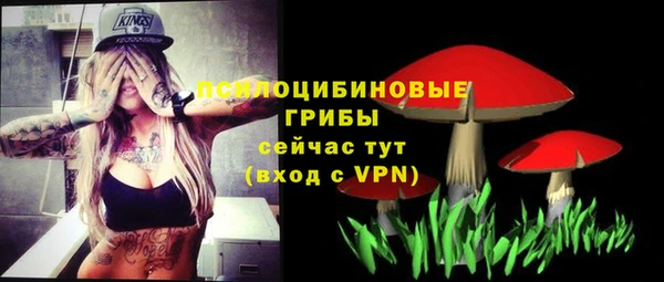 дживик Гусев