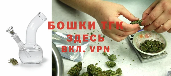 дживик Гусев