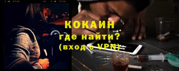 трава Гусиноозёрск