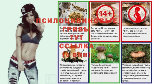дживик Гусев
