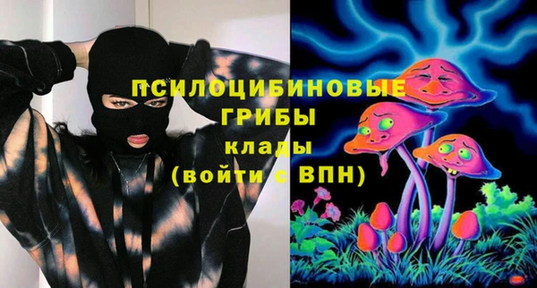 дживик Гусев
