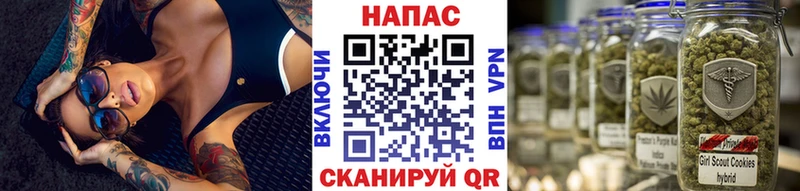 Бошки марихуана Amnesia  Купить где  Лабытнанги 